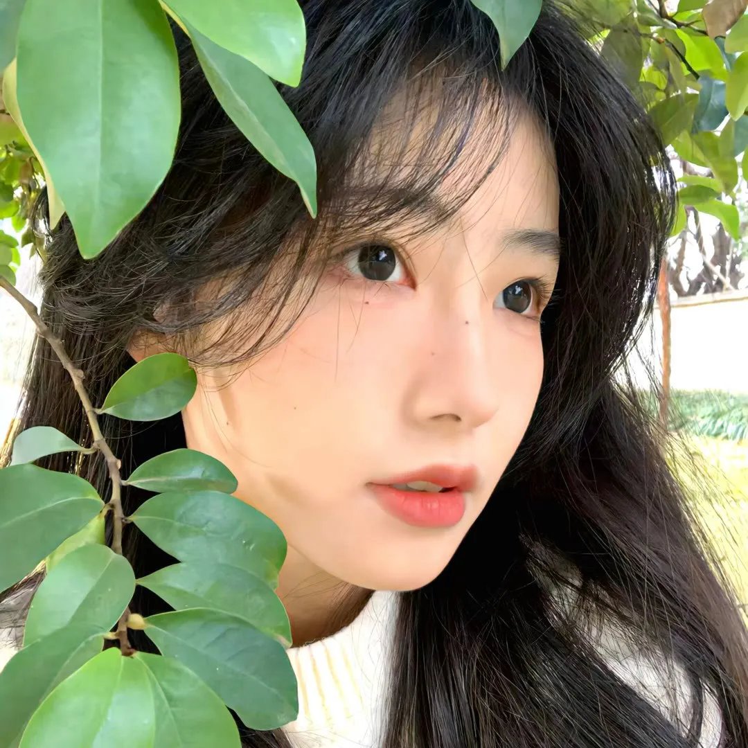 城中之城