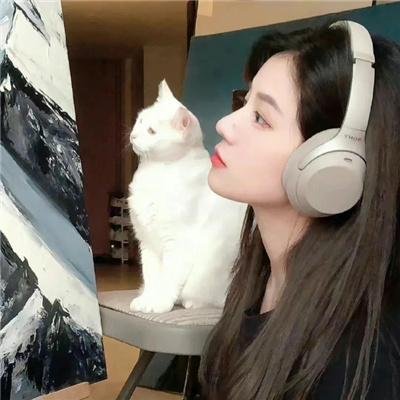 钢铁杰克